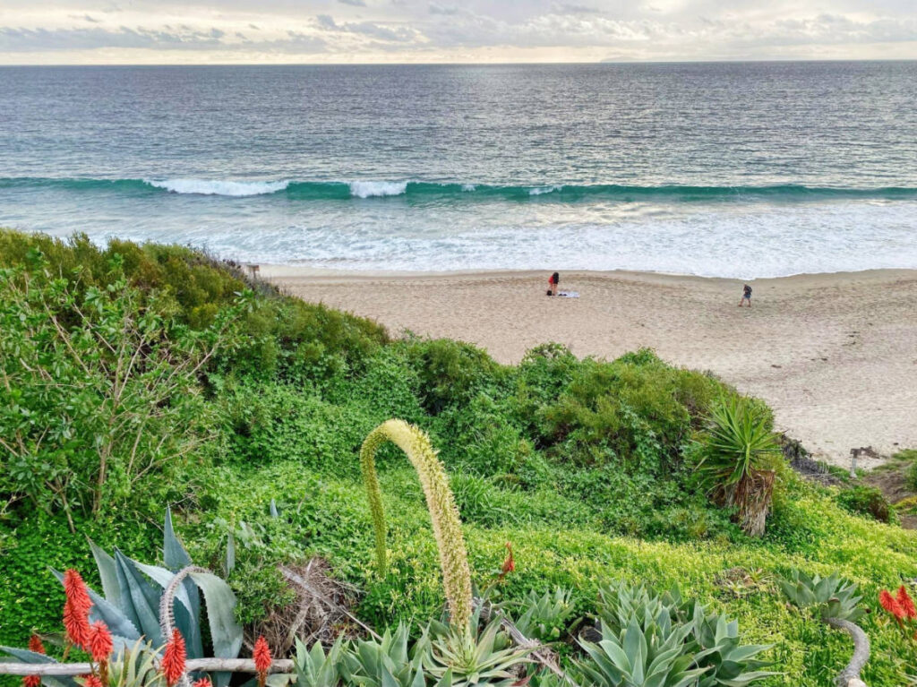Overlooking view of the San Clemente State Beach