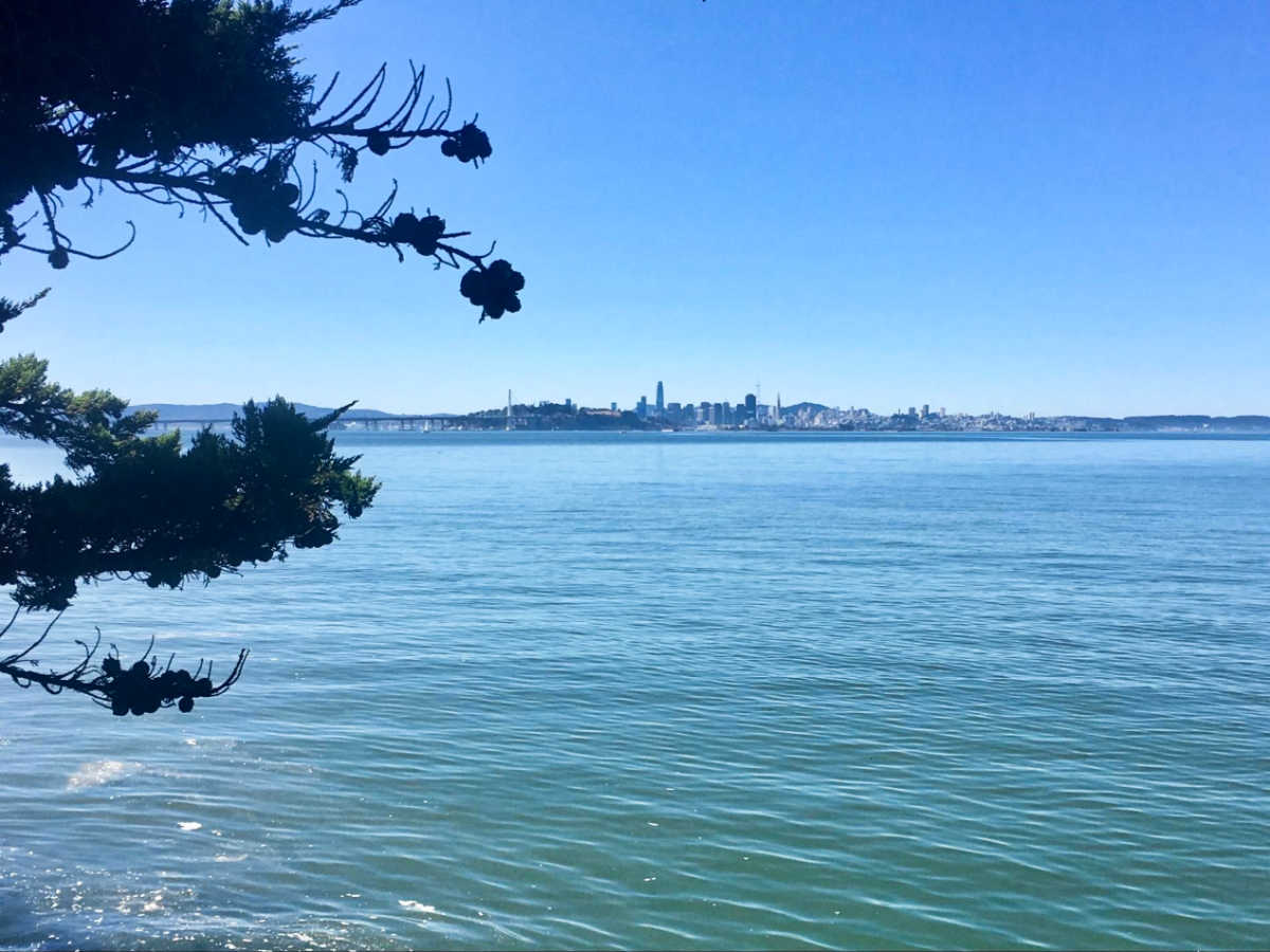 The San Francisco skyline seen from the Berkeley Marina