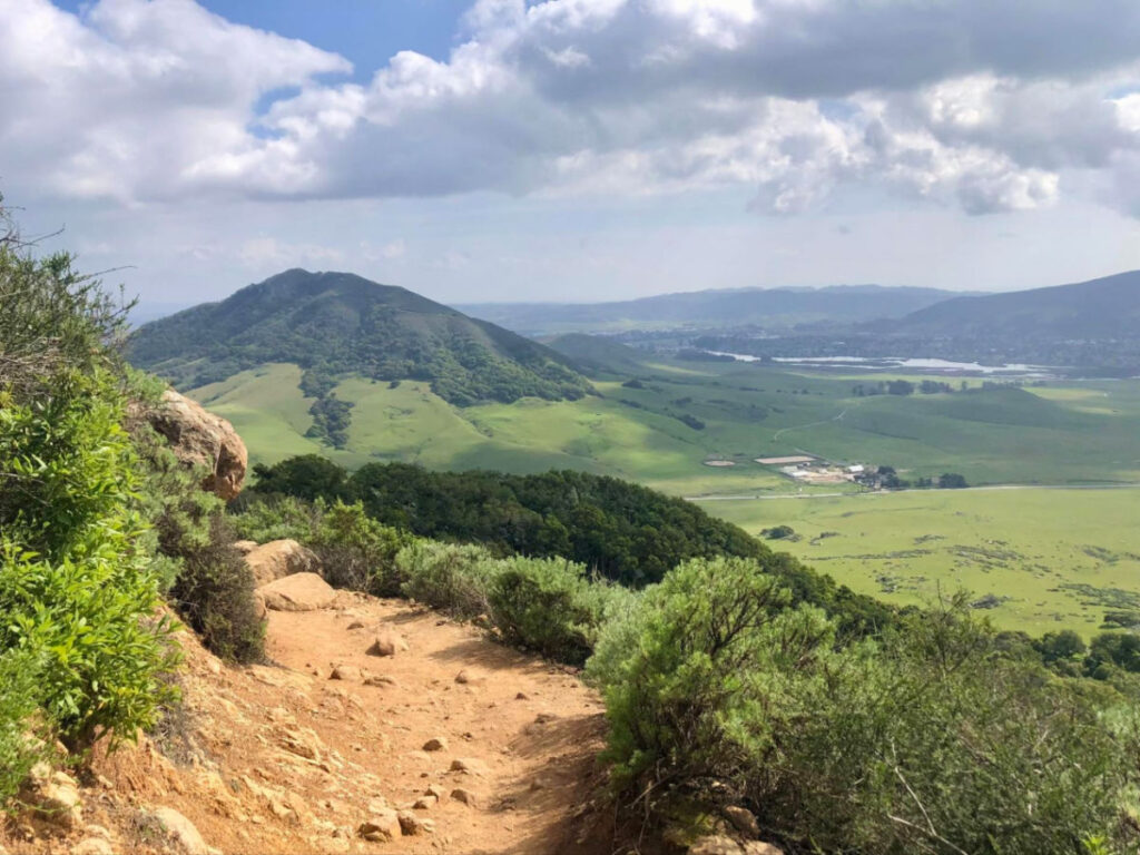 Great views over the San Luis Obispo countryside from the hiking trail