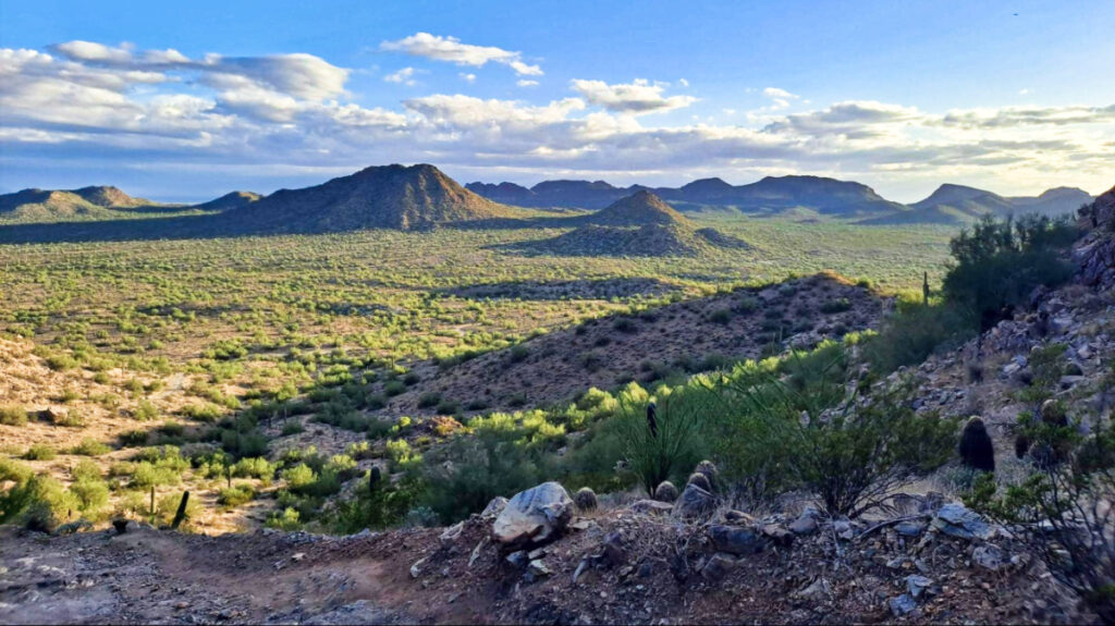 Panoramic view of the greenery at the San Tan Mountain Regional Park