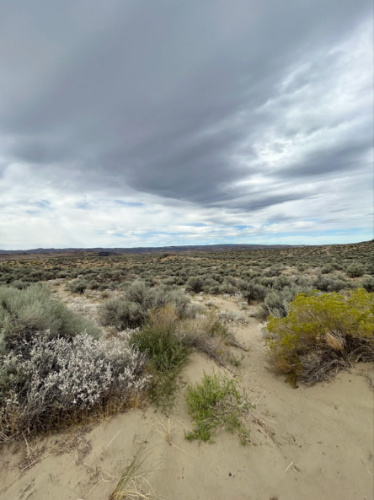 Panoramic view of the sand dunes at Frenchman Coulee