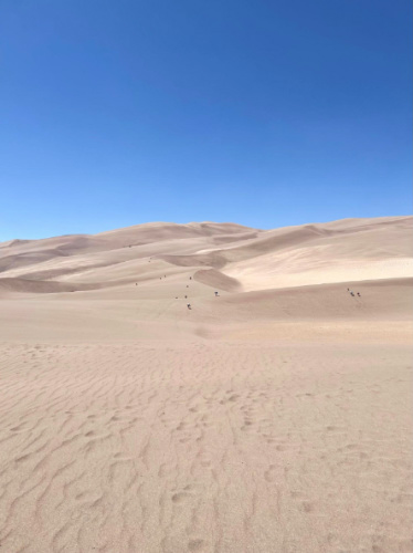 People enjoying sandboarding at Great Sand Dunes National Park