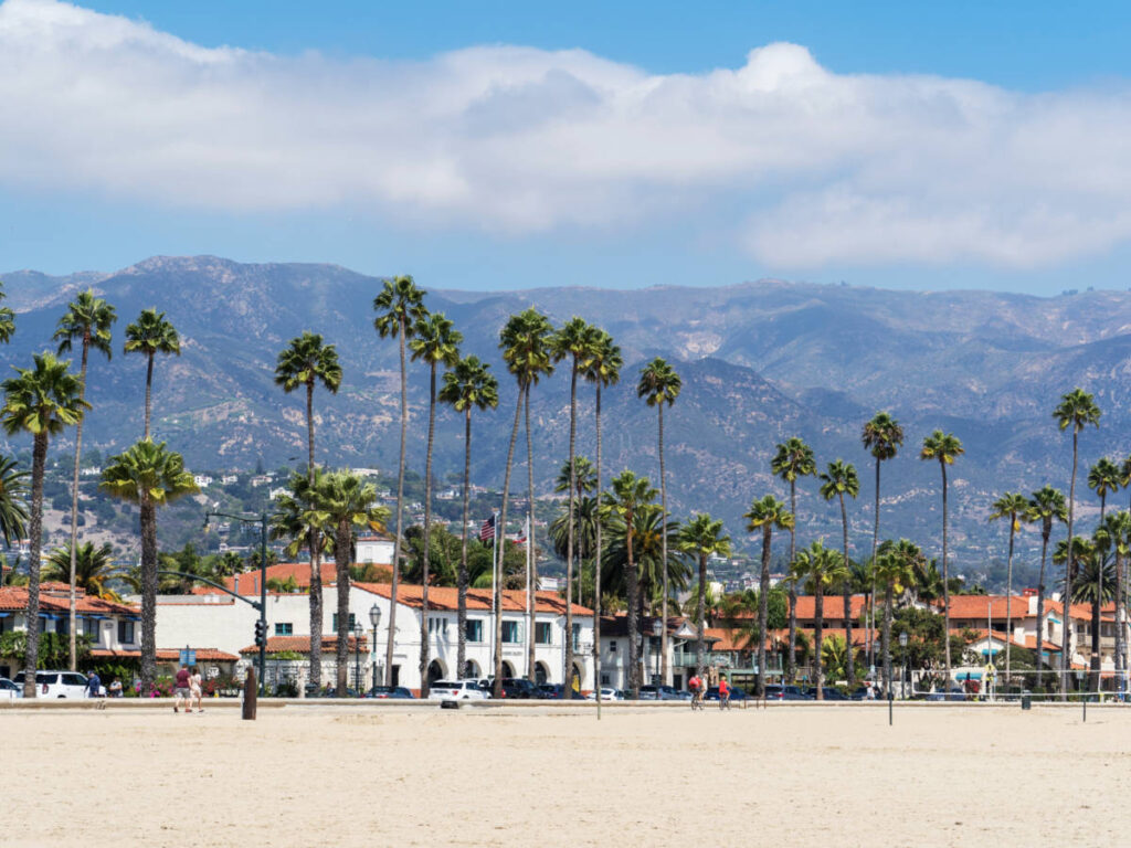 Panoramic view of the palm tree's lined along the shoreline of the main beach of Santa Barbara