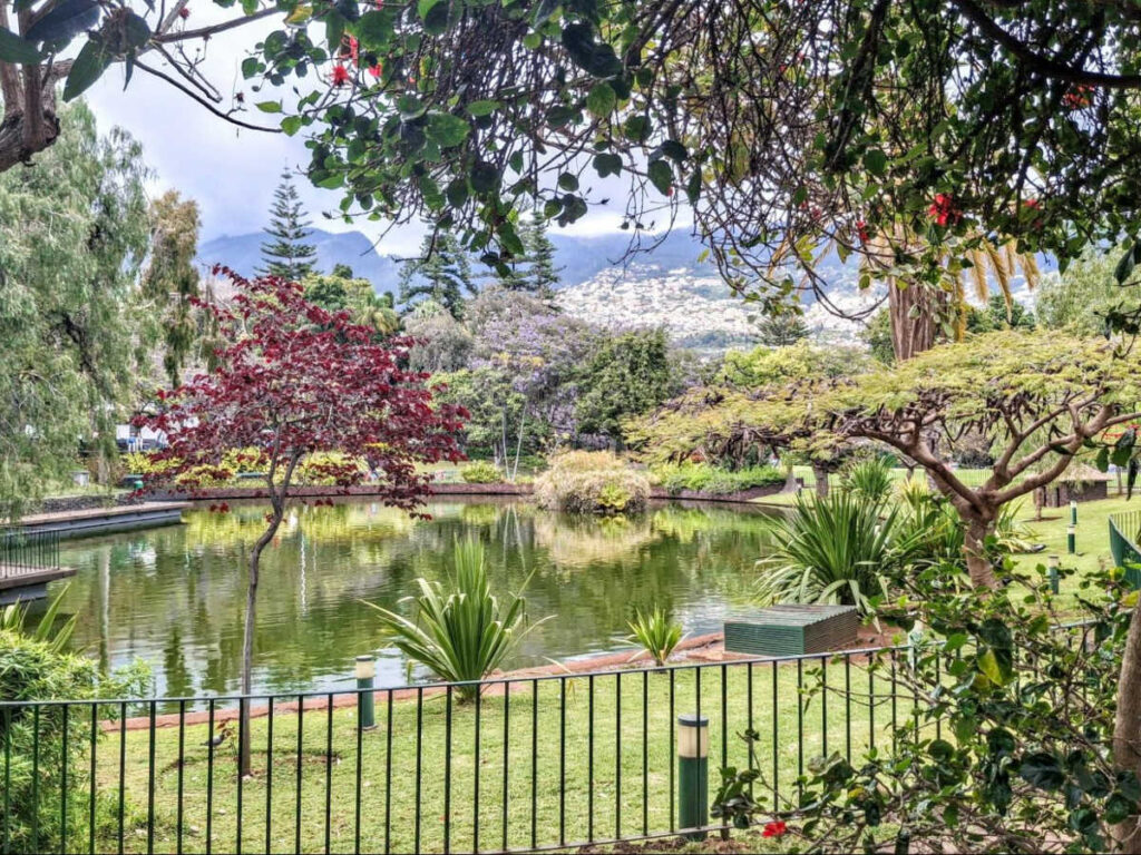 Panoramic view of the Santa Catarina Park
