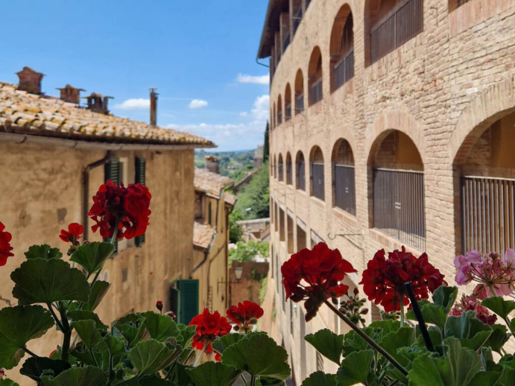 View of the buildings in Siena behind the flowers at Santuario Casa Santa Caterina