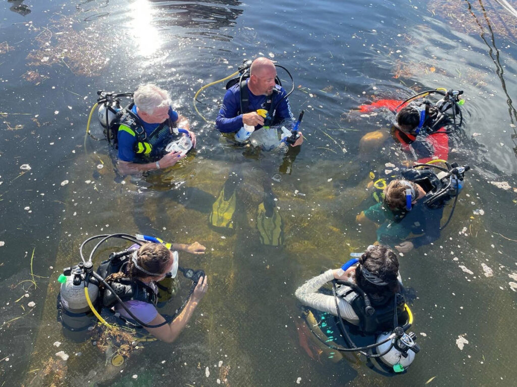 View of the scuba divers preparing on the water
