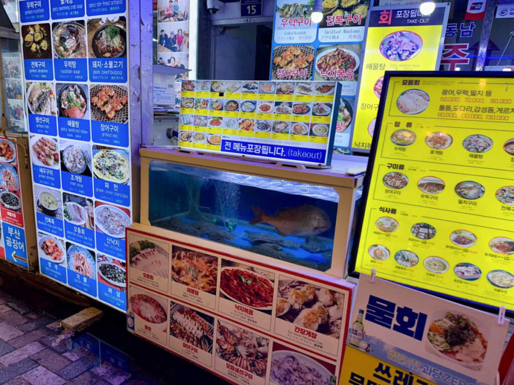 A huge fish inside the aquarium at a seafood stand at Haeundae Market