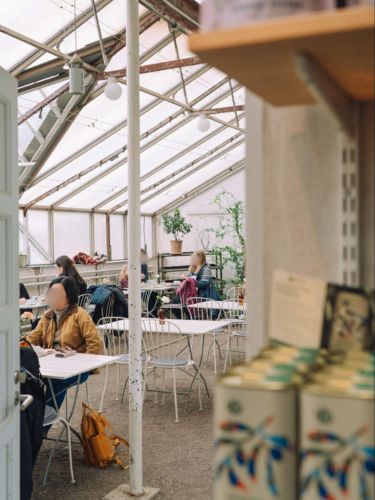 People dining at Gamla Orangeriet