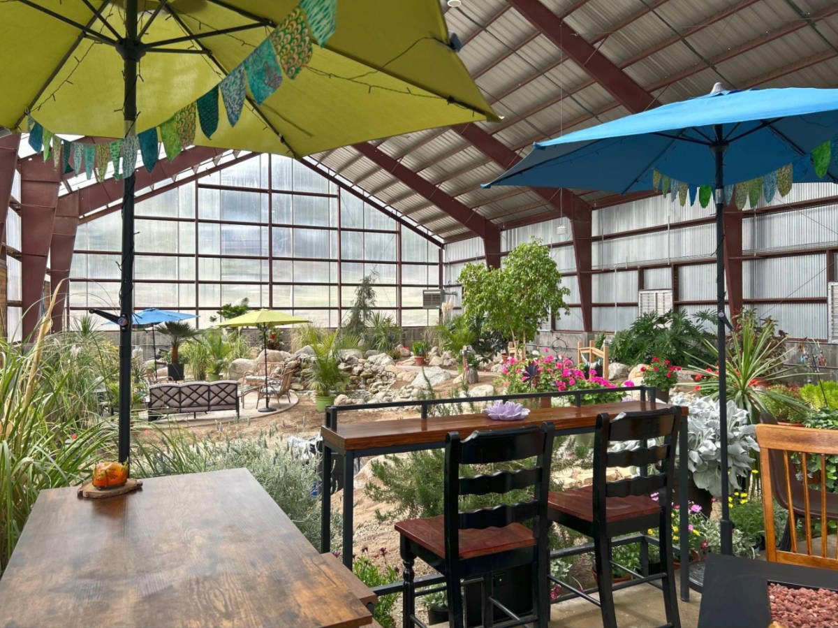 View of the colorful umbrellas over the seats at the Botanical Garden in Charlotte Hot Springs