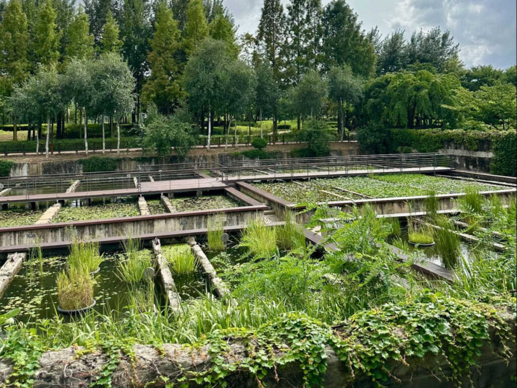 View of the eco-garden at the Seonyudo Park
