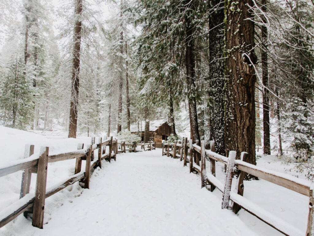 A trail covered with snow at the Sequoia National Park during winter season