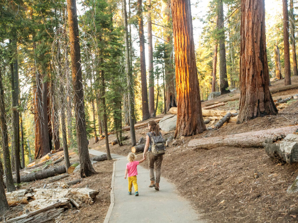 A mother with her child walking at the Sequoia National Park