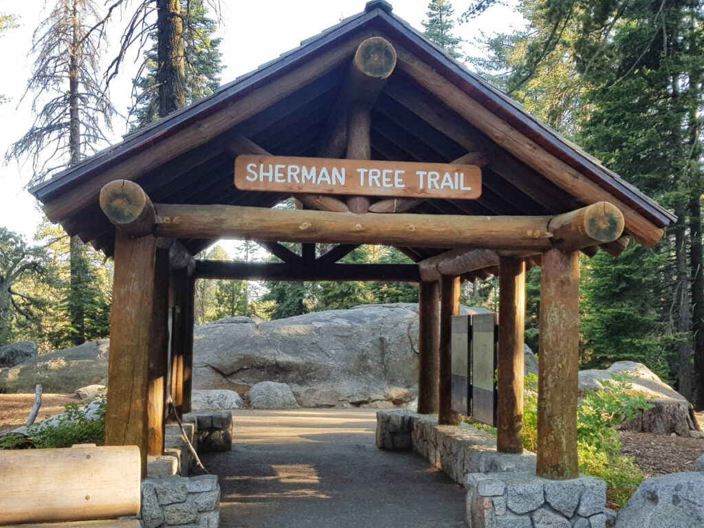 View at the entrance of the Sherman Tree Trail
