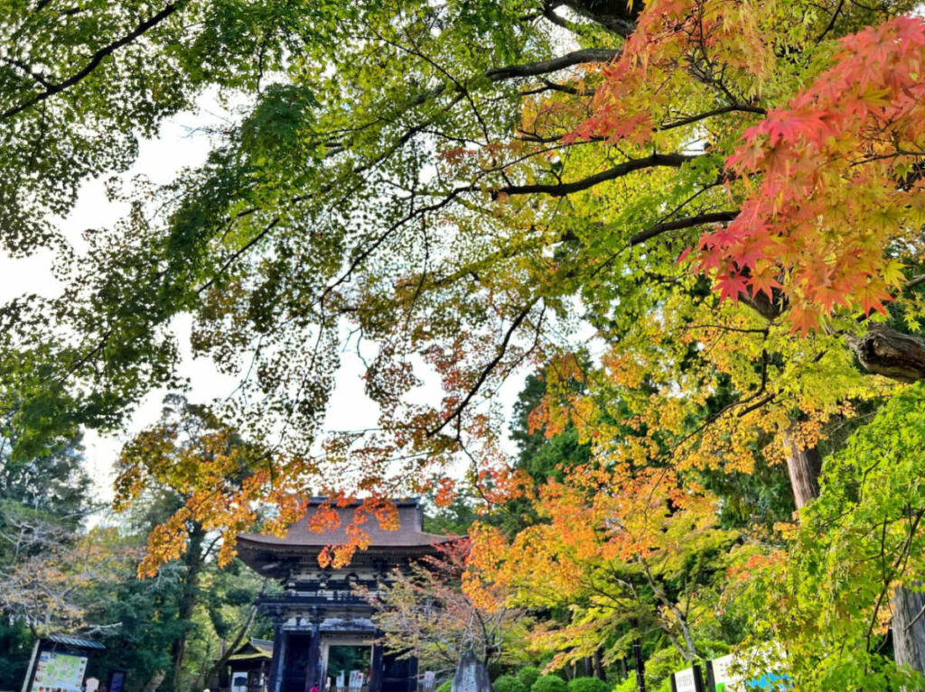 A temple framed by fall foliage in Shiga’s Lake Biwa