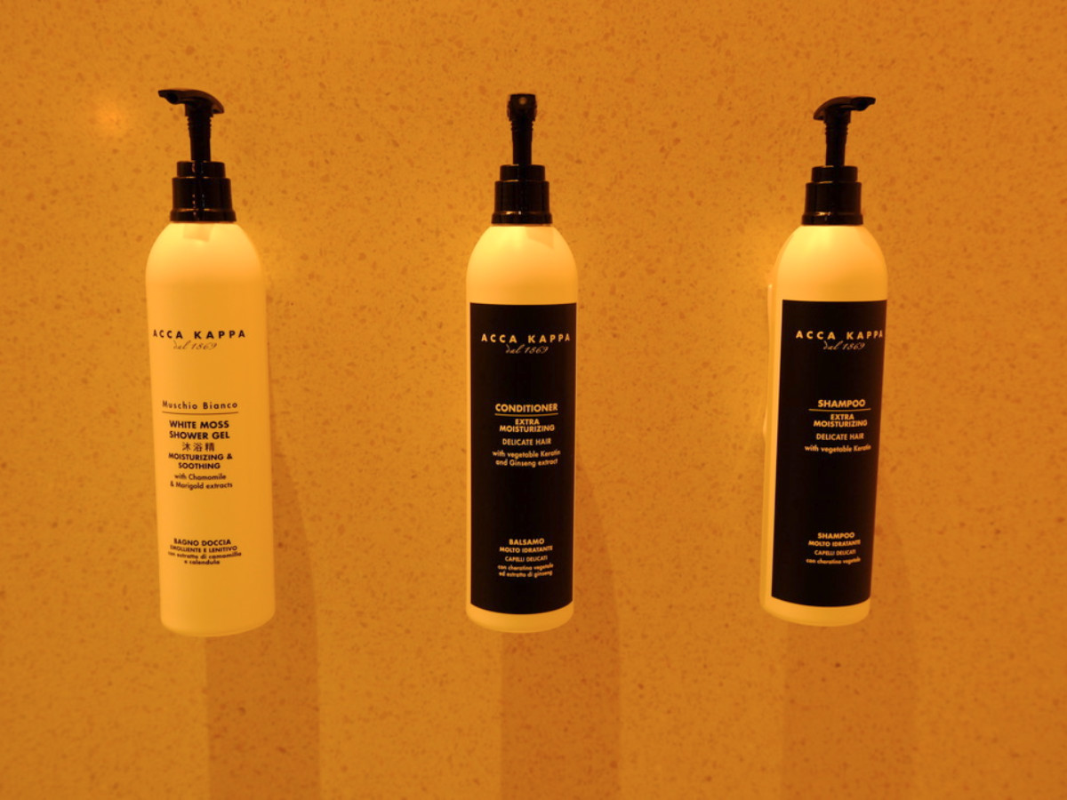 Closeup look of the toiletries in the shower area