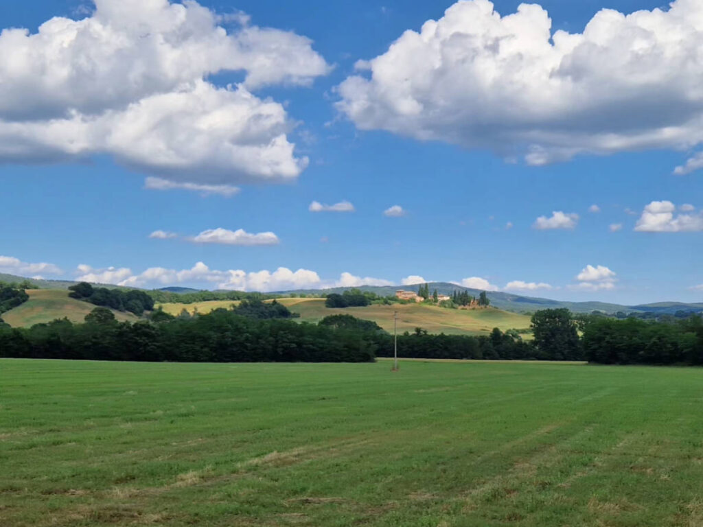 Panoramic view of the landscape of the Sienese countryside