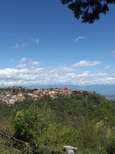 View of houses under the clear blue sky in Sighnaghi