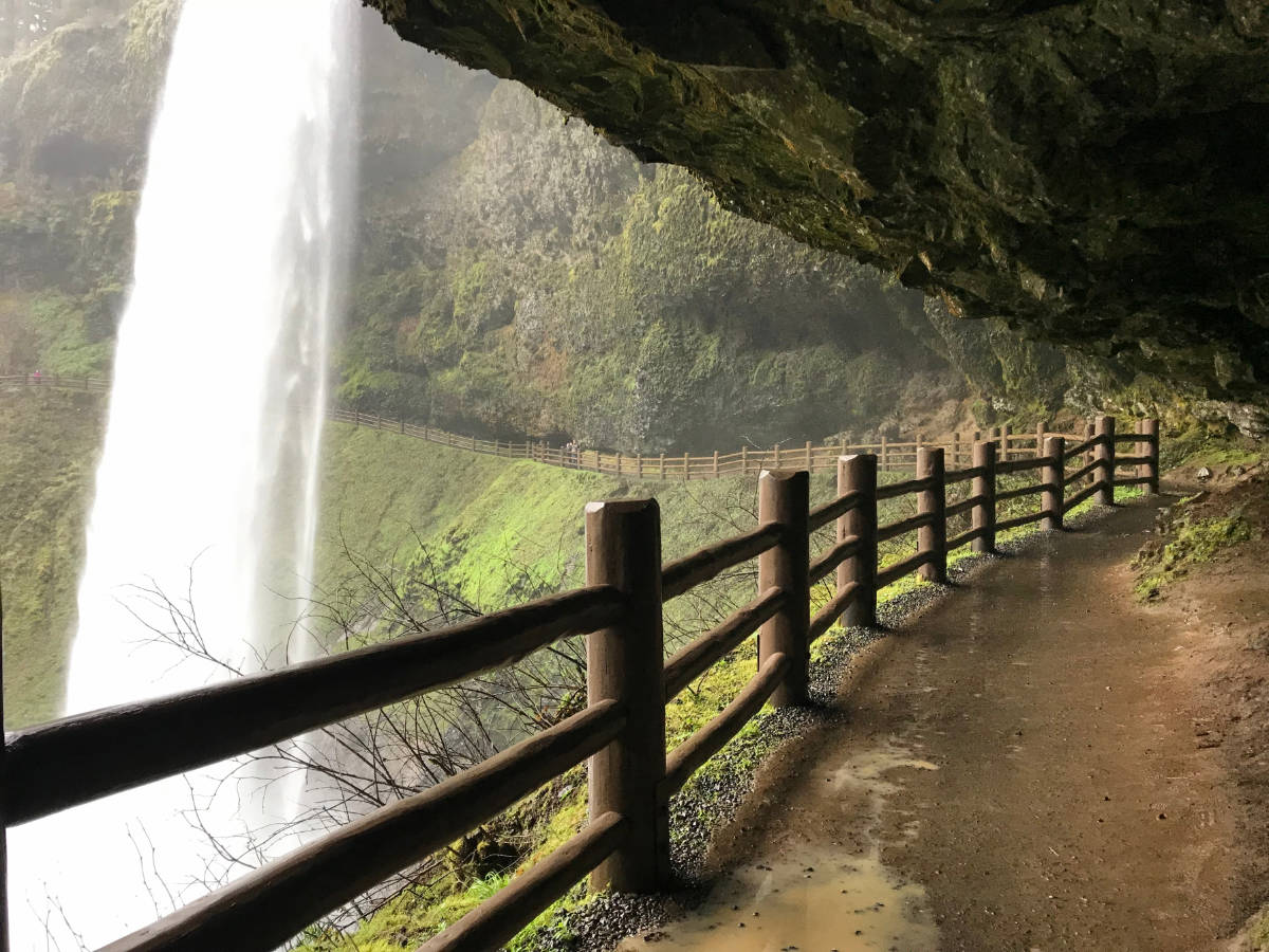 View of a waterfall at the Silver Falls State Park