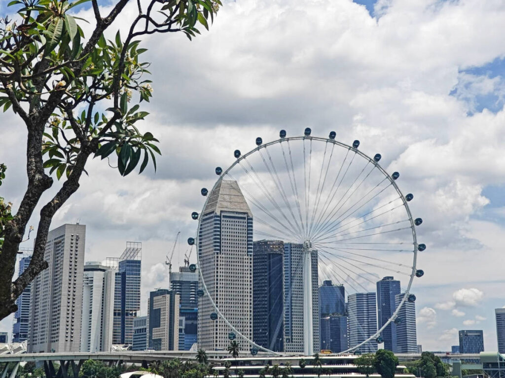 View of the Singapore Flyer from afar