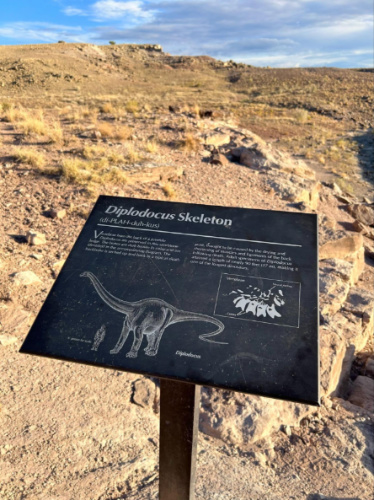 Closeup look of the signage of a site on the Trail Through Time