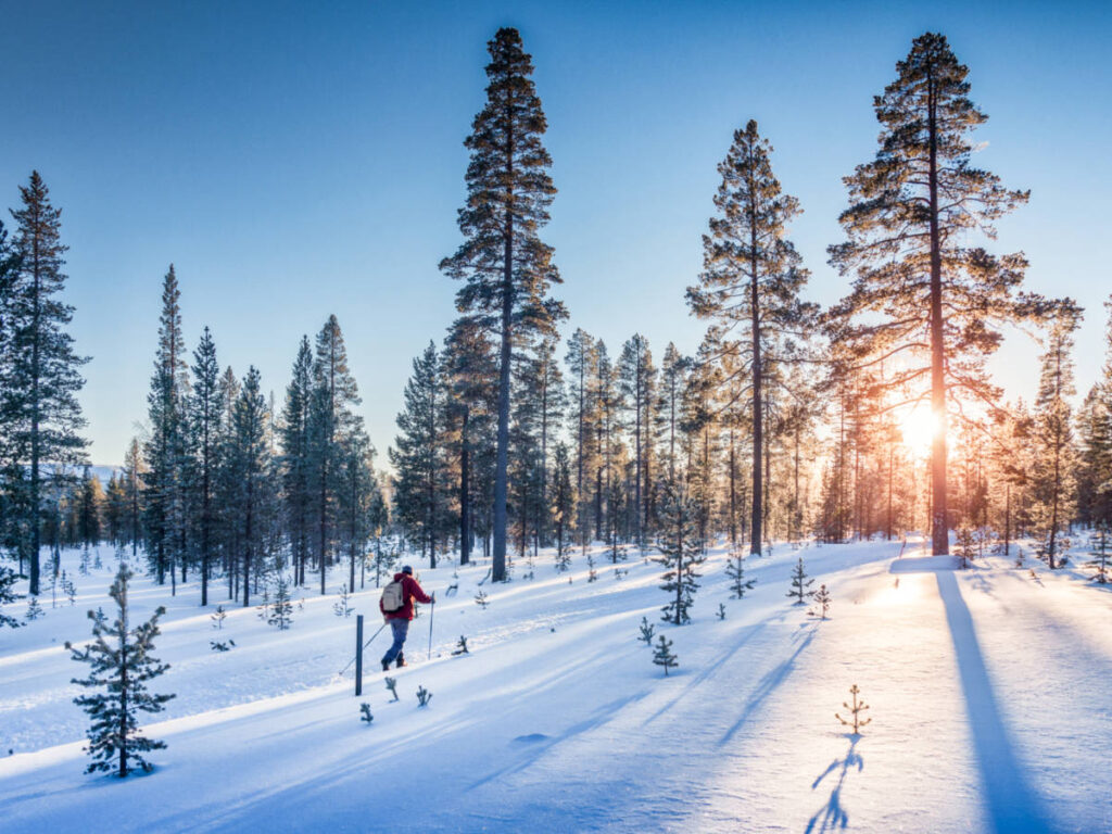 A man skiing through the trees in McCoy Park at sunset