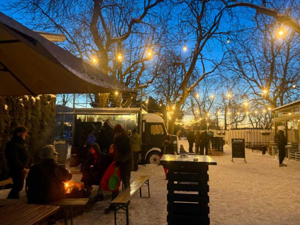 People enjoying the s’mores in the park at night in winter