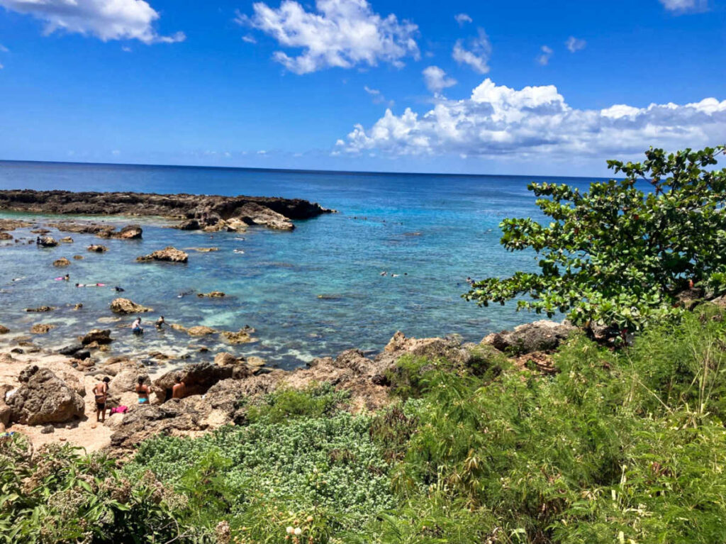 View of the swimmers at the Shark’s Cove
