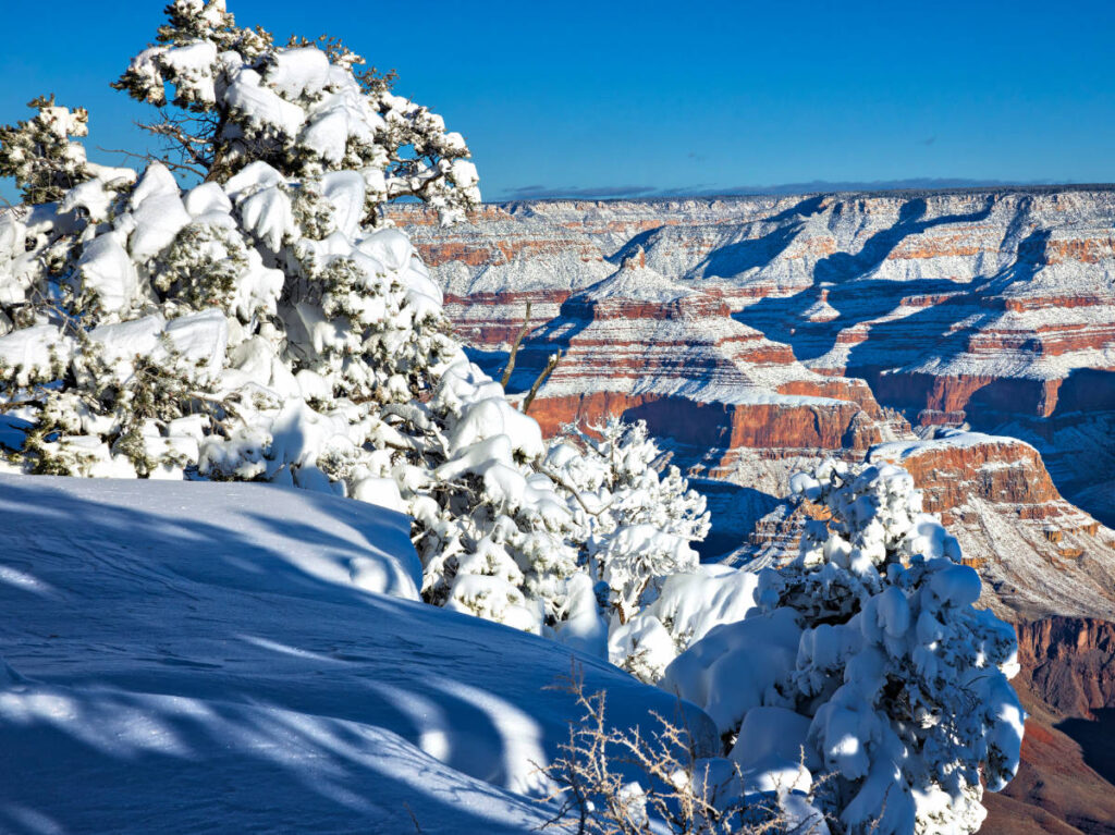Clear blue sky over the Grand Canyon that is covered with snow