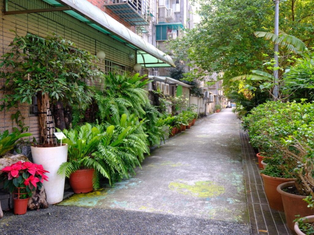 View of the serene Songshan neighborhood