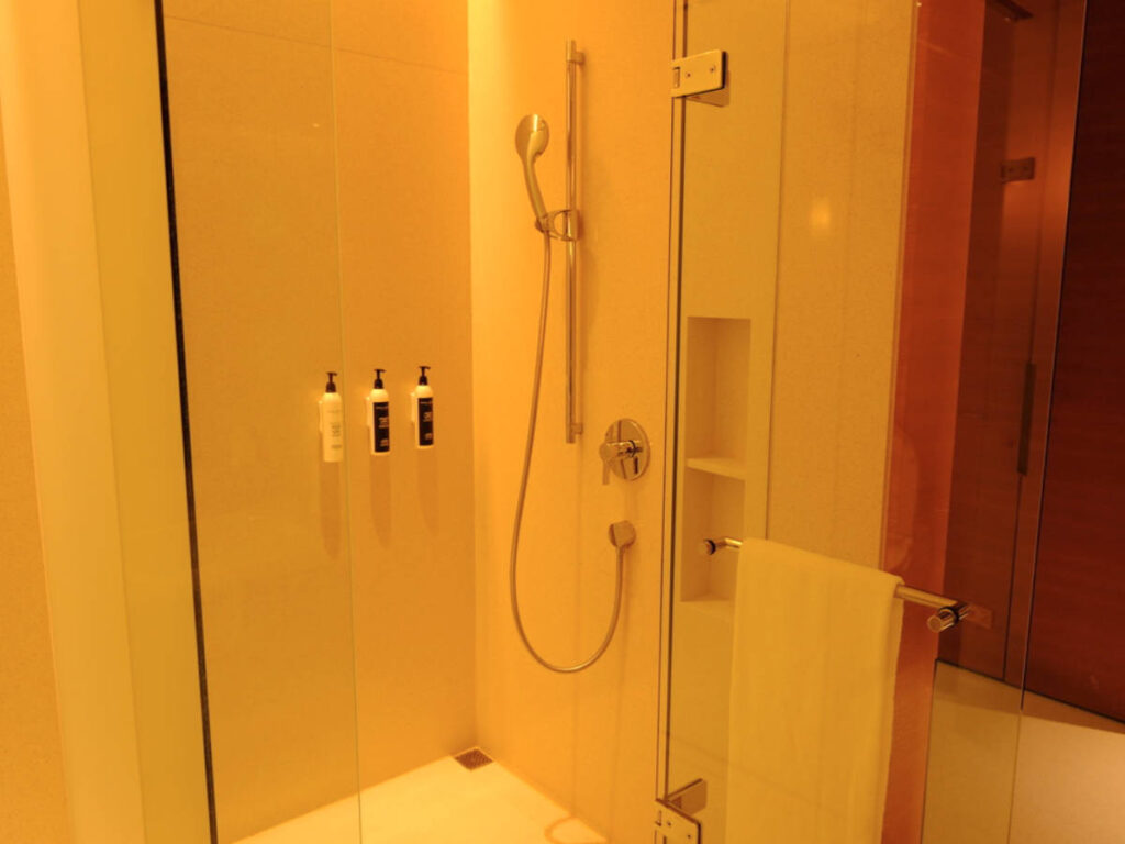 View of the spacious shower in the hotel room