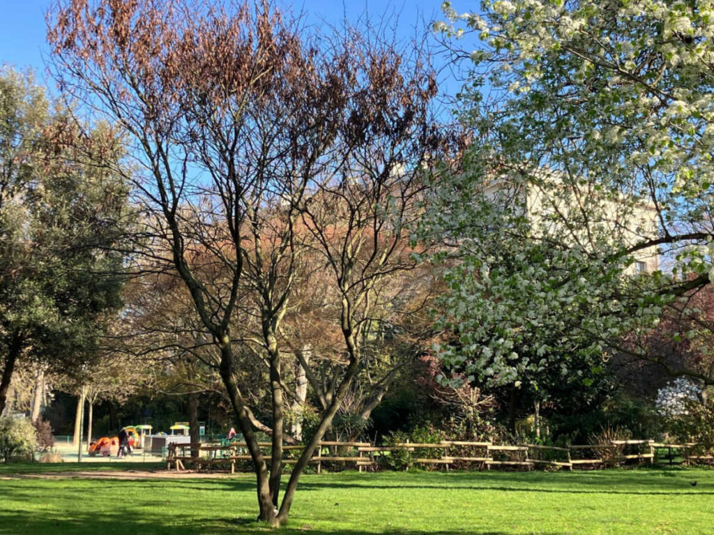 The color changing trees in La Muette’s Gardens