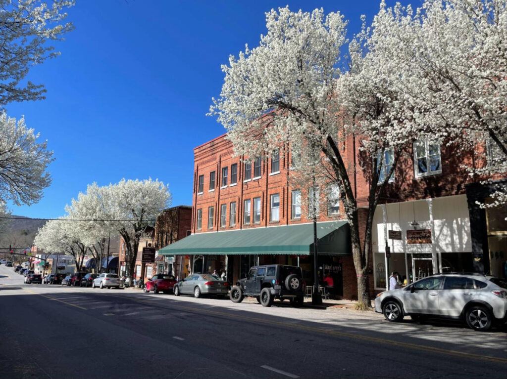 View from a street in Brevard during springtime