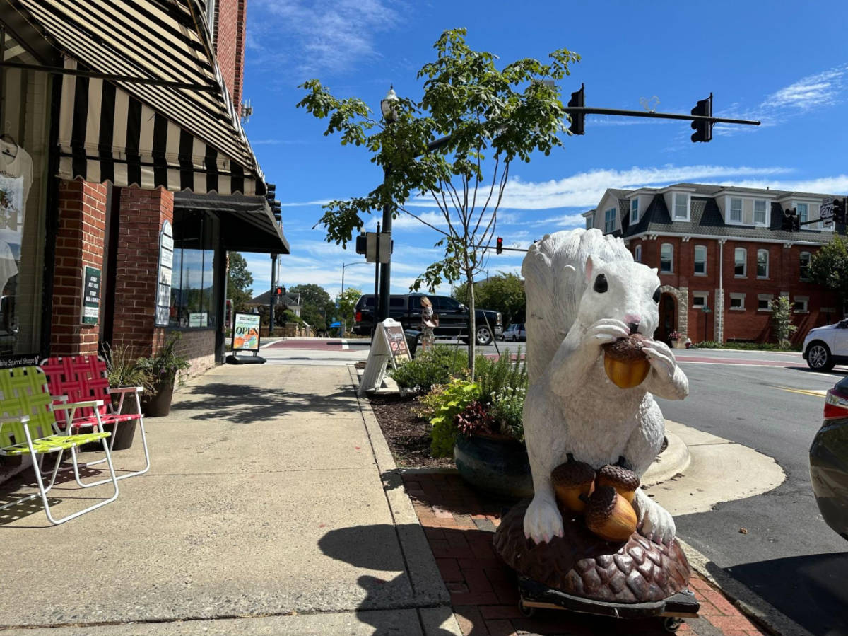 A squirrel statue around Brevard