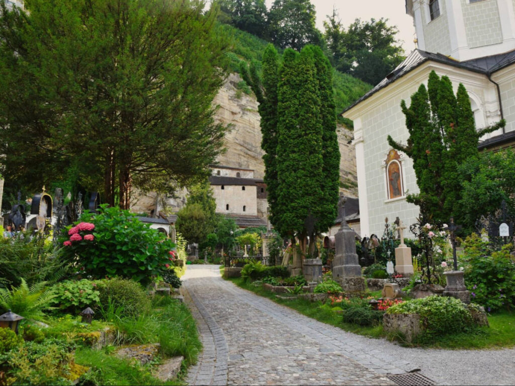 The greenery around the St Peter’s Cemetery and Catacombs
