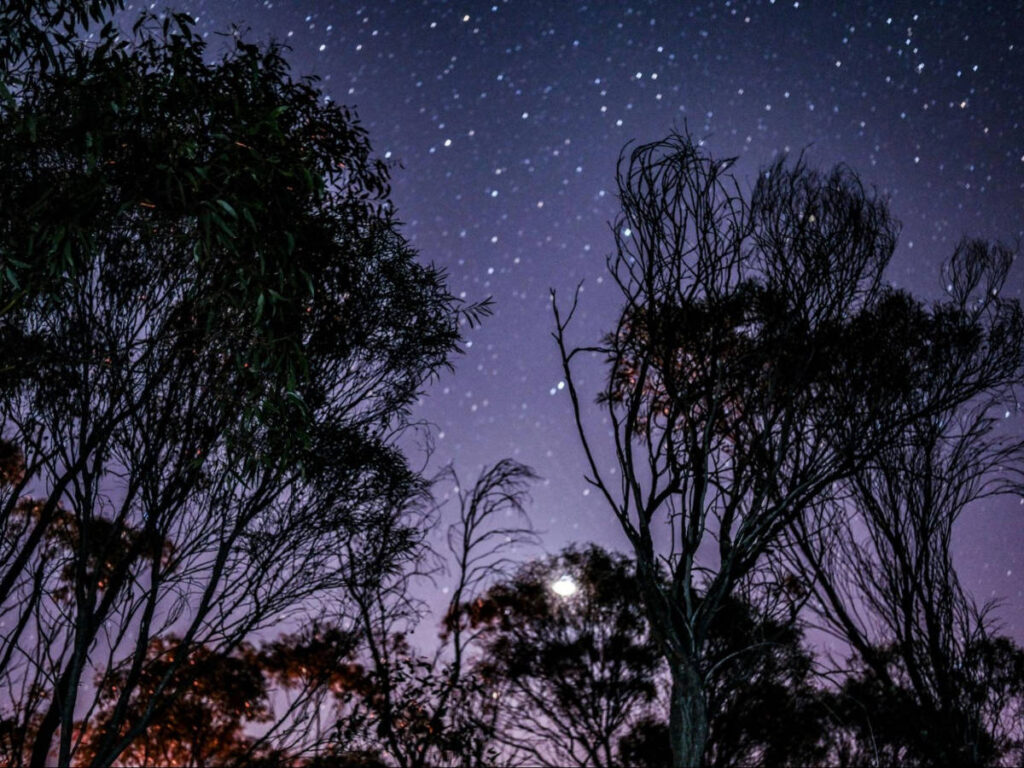Perspective view of the starry sky at The Perth Observatory