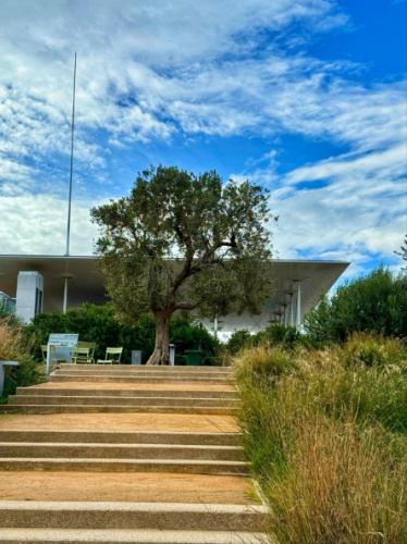 View at the bottom of the stairs leading to the Stavros Niarchos Park grounds