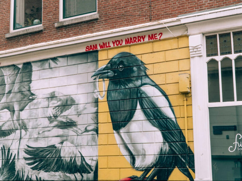 A street art of the birds at the Witte de Withstraat