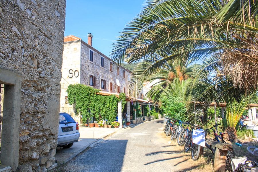 A narrow street on Mljet Island lined with palm trees and old brick buildings