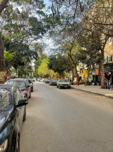 The streets of Maadi surrounded by trees and parked cars