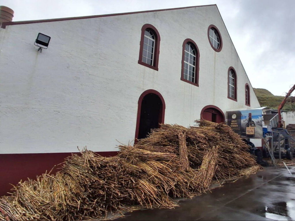 View of the sugarcanes stacked outside the Engenhos do Norte rum distillery