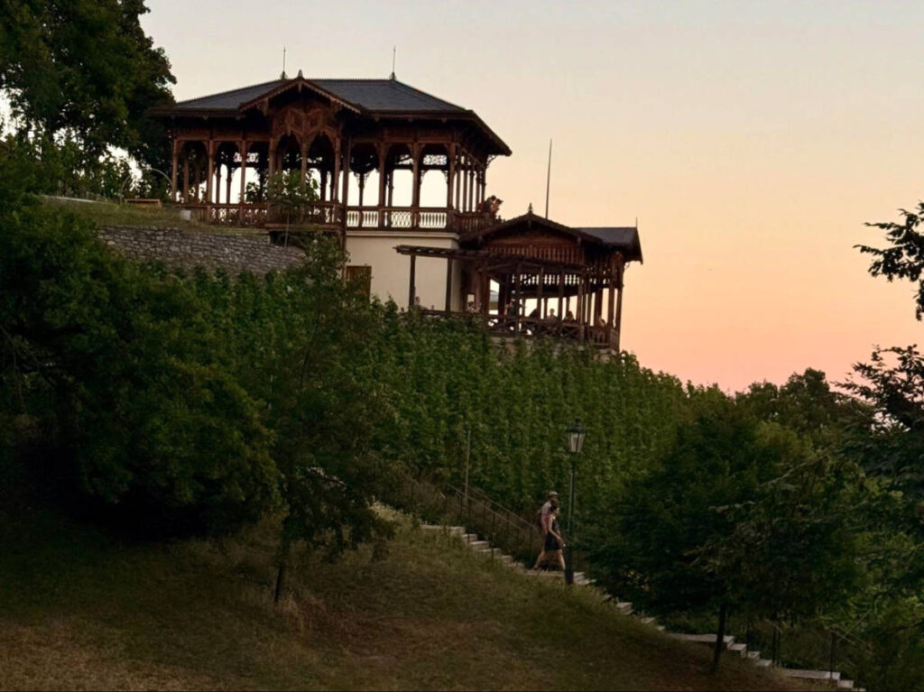 A couple heading down the stairs at Altán Grébovka during sunset