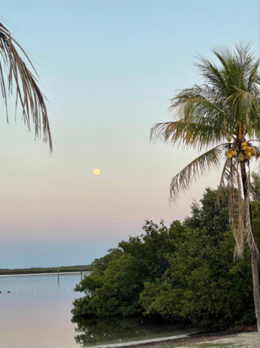 Scenic view of the John Pennekamp State Park at sunset