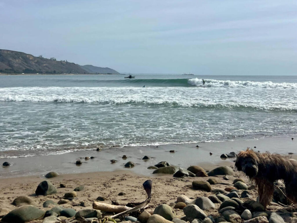 View of the surfers catching the waves at Rincon