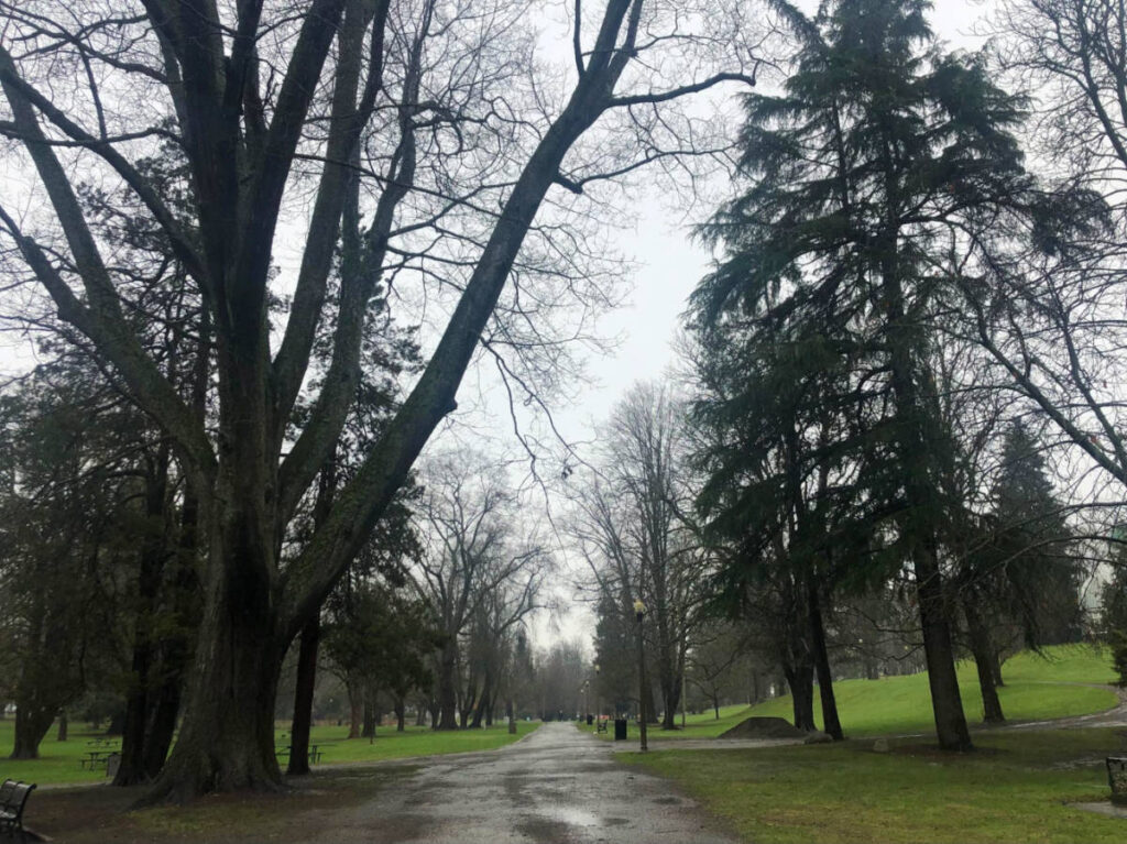 View of Tacoma’s Wright Park on a rainy day
