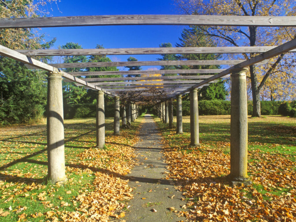 A pathway at Tanglewood Music Center, lined with trees and autumn leaves