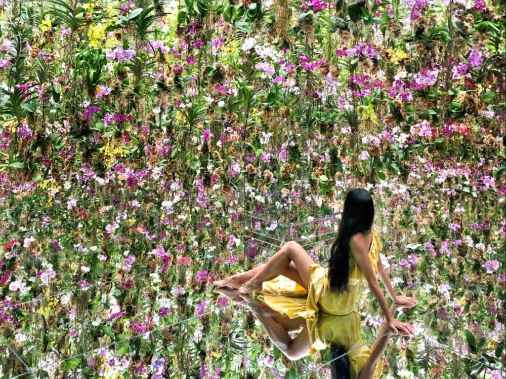 Author Lia at Team Lab Planets: Floating Flower Garden