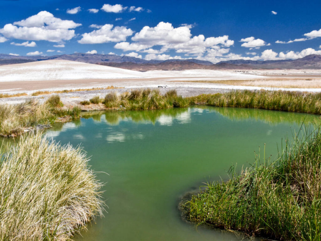 Overlooking view of Tecopa Hot Springs surrounded with greenery on a sunny day