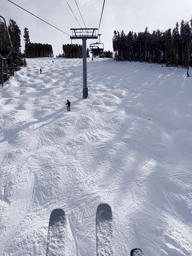 View of the mogul terrain from the high-speed quad at Beaver Creek Resort