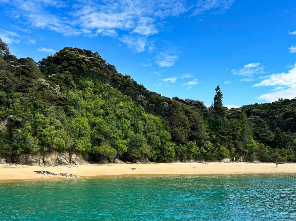 Panoramic view of the scenic sandy beach of Abel Tasman Coast surrounded by greenery
