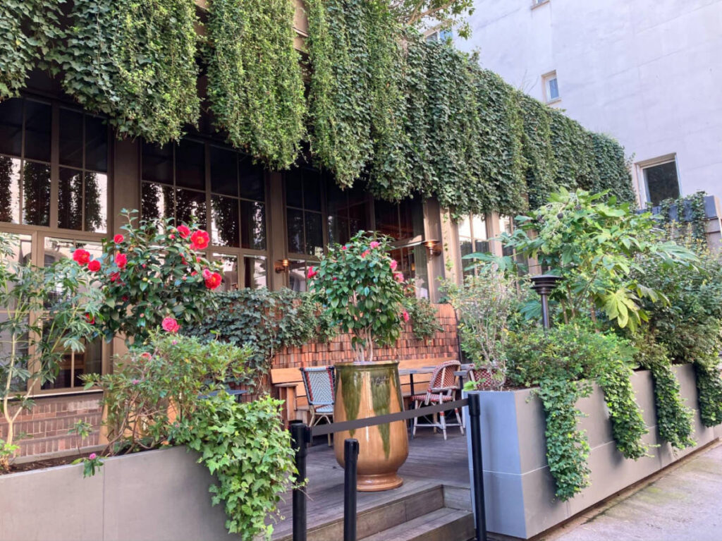 View of the vines and greenery around the exterior of Brach Paris Hotel